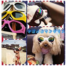狗狗太陽鏡寵物拍照眼鏡可愛英短貓咪墨鏡裝扮搞怪幼犬貓萌寵飾品 歷史價格詳細信息