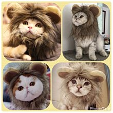 ۞芙芙遊樂園۞ petco小熊圍嘴 寵物貓咪狗狗口水巾 泰迪圍兜圓領圍巾甜美圍嘴 歷史價格詳細信息