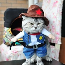 萌寵立方香薰加濕器 香薰機 水氧機 補水儀 香氛 小夜燈 450ml 居家 裝飾 臥室 客廳 房間 擴香 送禮 歷史價格詳細信息