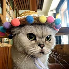 狗貓樂園-全新Felix Dog 骨力勁Q10  60錠。效期：2025/7 歷史價格詳細信息