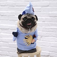 ۞芙芙遊樂園۞BLACKWOOD 柏萊富 4.5磅功能性全齡犬滋補養生 全齡腸胃保健配方 全齡護膚亮毛配方鯰魚 特調全齡犬 羊肉+糙米+雞肉 WDJ推薦 飼料 歷史價格詳細信息