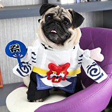 搞笑寵物變身裝 寵物貓咪狗狗搞怪衣服變裝(4號)_☆找好物FINDGOODS☆ 歷史價格詳細信息