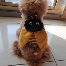 寵物背包Charlie萌寵狗狗外出雙肩便攜胸背帶寵物背包狗包背狗神器貓咪犬攜帶胸前貓包 歷史價格詳細信息