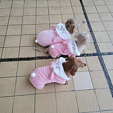 寵物卡斯羅防爆沖牽引繩狗狗彈力牽引繩杜賓高獵犬伸縮鏈子寵物回彈繩牽引繩 歷史價格詳細信息