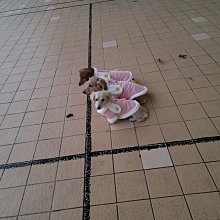 寵物兩腳棉衣 過年喜慶狗狗唐裝裙 公主風寵物唐裝 秋冬新款寵物衣服 貓咪超取免運 貓咪 狗狗 寵物 寵物保暖衣服 歷史價格詳細信息