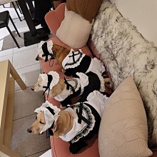 寵物女僕裝 蕾絲花邊 貓咪洋裝 狗狗洋裝 連衣裙 貓咪女僕裝 貓咪衣服 狗狗衣服 寵物洋裝 歷史價格詳細信息