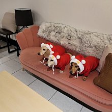毛球寵物 愛呷 寵物滴雞精 新鮮出產 台灣製造 貓狗通用 滋陰補陽 60ml 老犬貓術後保健品 天然雞精 滴雞精 歷史價格詳細信息