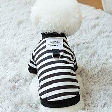 貓熊寵物後背包，可愛毛絨絨的動物造型後背包,大小朋友上學或出遊時可當置物背包 歷史價格詳細信息