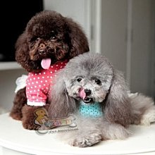 寵舖】平鎮中壢寵物精品批發零售【寵物服飾 ISPET高質感巴洛克玫瑰】黑色粉色 歷史價格詳細信息