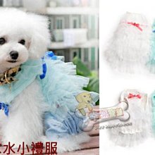 @寵舖@寵物用品批發【寵物 日本2015新內搭衣-優雅款 附蕾絲項圈(米色)】(每年必賣) 歷史價格詳細信息