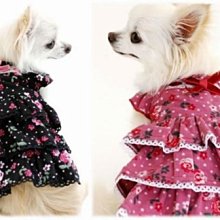 日本pet paradise 漂亮精美刺繡 可愛玉兔 假2件式褲裝 傳統羽織和服 SS 歷史價格詳細信息