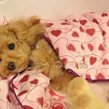 《愛，被愛－大眾心理學經典館》 9573249235 遠流 徐麗玲, LeoBuscagli   無劃記 87E 歷史價格詳細信息