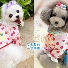 【米狗屋】cheer三層蕾絲網綁帶生理褲-白底˙XS、S、M、L、XL號˙中型可 歷史價格詳細信息