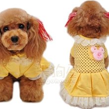 秋冬款雙層小蠻腰毛衣鍊項鏈女2022年新款小眾設計鈦鋼韓版吊墜潮 歷史價格詳細信息