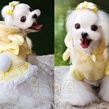 【米狗屋】cheer大草莓背心式胸背帶＋拉繩/牽繩組˙草莓／熊熊／愛心 (S、M、L) 歷史價格詳細信息