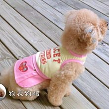 狗衣狗服│【春夏款】日本PETCO派可粉嫩愛心條紋雙面內搭衣/可愛打底內搭T-灰色L號 歷史價格詳細信息