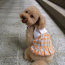 狗衣服 款春夏季公主裙泰迪碎花牛仔紐扣連衣裙超夯 精品 歷史價格詳細信息
