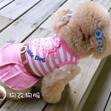 狗衣狗服│【春夏款】日本PETCO派可粉嫩愛心條紋雙面內搭衣/可愛打底內搭T-灰色L號 歷史價格詳細信息
