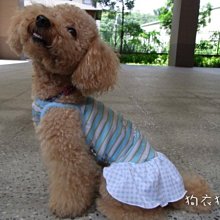 狗衣狗服│【春夏款】日本PETCO派可粉嫩愛心條紋雙面內搭衣/可愛打底內搭T-灰色L號 歷史價格詳細信息