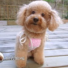 狗衣狗服│【春夏款】日本PETCO派可粉嫩愛心條紋雙面內搭衣/可愛打底內搭T-灰色L號 歷史價格詳細信息