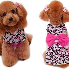 【米狗屋】日本PETIO犬貓用-寵物電動磨甲器的磨甲頭，是磨甲頭，不是機器唷。 歷史價格詳細信息