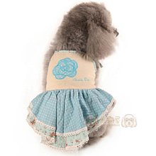 春夏款3/10雙船襪女絲襪短襪韓版短襪水晶卡絲襪淺口學生襪子女-促銷 歷史價格詳細信息