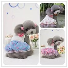 ۞芙芙遊樂園۞ petco小熊圍嘴 寵物貓咪狗狗口水巾 泰迪圍兜圓領圍巾甜美圍嘴 歷史價格詳細信息