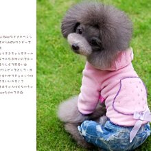 現貨 櫻寵虎皮鸚鵡鳥籠子大號八哥黃雀玄鳳牡丹鸚鵡色養殖籠子天天百貨 歷史價格詳細信息