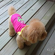 狗衣狗服│【春夏款】日本PETCO派可粉嫩愛心條紋雙面內搭衣/可愛打底內搭T-灰色L號 歷史價格詳細信息