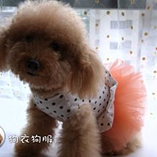 狗衣狗服│【春夏款】cute可愛黑白狗網眼透氣背心-黃色 歷史價格詳細信息