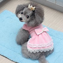 寵物服 秋季寵物公主裙子泰迪比熊博美約克夏馬爾濟斯貓咪小型犬狗狗衣服 歷史價格詳細信息
