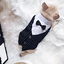 狗衣服 服西裝法斗柯基比熊泰迪小型犬結婚禮服超夯 精品 歷史價格詳細信息