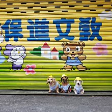 寵物春夏季薄款背心蘿蔔裙(衣服+帽子) 歷史價格詳細信息