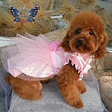 敗犬女王寵物手工衣精品館 ~狗狗西裝量身訂作~黑色線條無袖時尚西裝~可客制化 歷史價格詳細信息