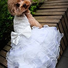 白色優雅~溫柔風淡水天然珍珠手鍊女新款輕奢ins小眾人像螺紋設計 歷史價格詳細信息