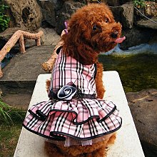 敗犬女王寵物手工衣精品館 ~狗狗西裝量身訂作~黑色線條無袖時尚西裝~可客制化 歷史價格詳細信息