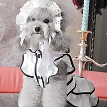 敗犬女王寵物手工衣精品館 ~狗狗西裝量身訂作~黑色線條無袖時尚西裝~可客制化 歷史價格詳細信息