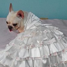 敗犬女王寵物手工衣~狗狗衣服量身訂作~熱情如火浪漫婚紗婚紗禮服(不含帽)~客制化寵物衣--大型犬-- 歷史價格詳細信息