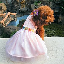敗犬女王寵物手工衣精品館 ~狗狗西裝量身訂作~黑色線條無袖時尚西裝~可客制化 歷史價格詳細信息