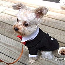 狗衣服 服西裝法斗柯基比熊泰迪小型犬結婚禮服超夯 精品 歷史價格詳細信息