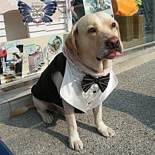 敗犬女王寵物手工衣精品館 ~狗狗西裝量身訂作~黑色線條無袖時尚西裝~可客制化 價格比較,價格查詢,歷史價格詳細信息