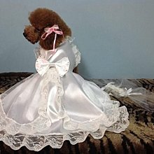 敗犬女王寵物手工衣精品館 ~狗狗西裝量身訂作~黑色線條無袖時尚西裝~可客制化 歷史價格詳細信息