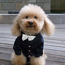 狗衣服 服西裝法斗柯基比熊泰迪小型犬結婚禮服超夯 精品 歷史價格詳細信息