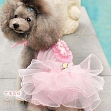 百事澎派拜拜箱 639g/箱 歷史價格詳細信息