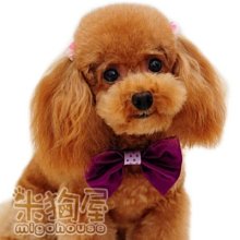 粉紅色結婚禮 60支紗萊賽爾天絲兩用被床包組 歷史價格詳細信息