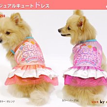 果凍款糖果色造型髮夾 四款圖案(1包4個) (台灣現貨) 小抓夾 髮夾 小髮夾 【久大文具】20220322 歷史價格詳細信息