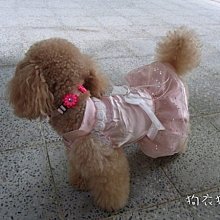 狗衣狗服│【春夏款】cute可愛黑白狗網眼透氣背心-黃色 歷史價格詳細信息
