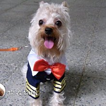 海軍士官長領章 士官長肩章 海軍金屬肩章 海軍肩章 歷史價格詳細信息