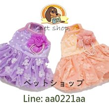 @幸福寵舖＠中壢寵物精品【狗狗啾啾玩具足球-小】實品好看有小的中的喔~ 歷史價格詳細信息