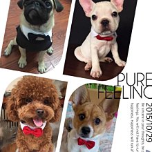 狗貓樂園-全新Felix Dog 骨力勁Q10  60錠。效期：2025/7 歷史價格詳細信息